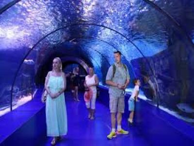 Antalya Aquarium Tour
