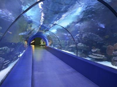 Antalya Aquarium Tour