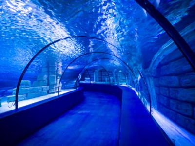 Antalya Aquarium Tour