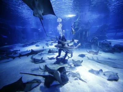 Antalya Aquarium Tour
