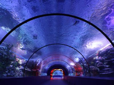 Antalya Aquarium Tour