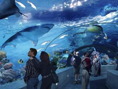 Antalya Aquarium Tour