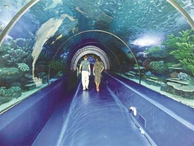 Antalya Aquarium Tour