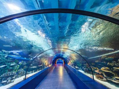 Antalya Aquarium Tour