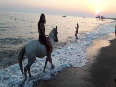 HORSE RIDING ON THE BEACH