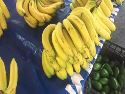 MANAVGAT BAZAAR & BOAT TOUR