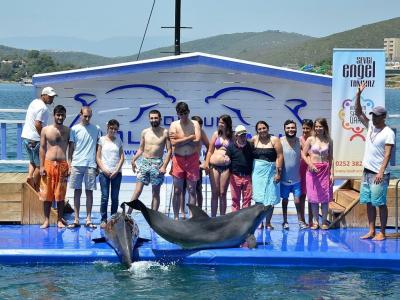 Dolphin Show & Swim – An Unforgettable Experience!